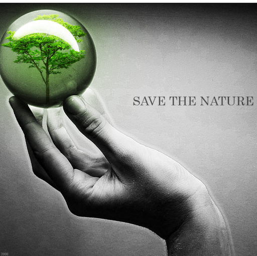 Pathan.jakir Hussain/Hyderabad, India/