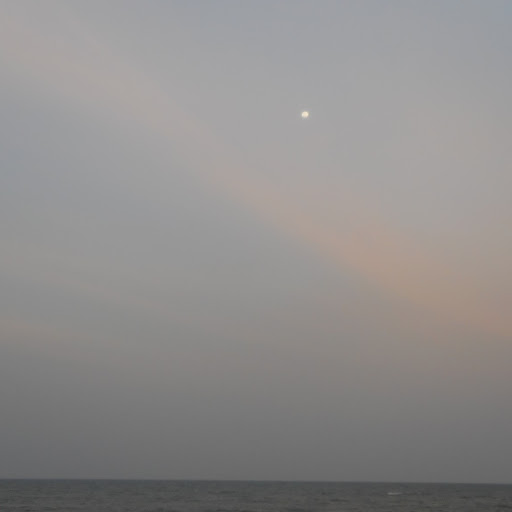 Racetheshark/Bangalore, India/