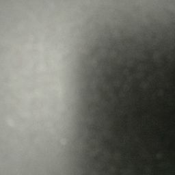 Sandra D'souza/Nagari, India/