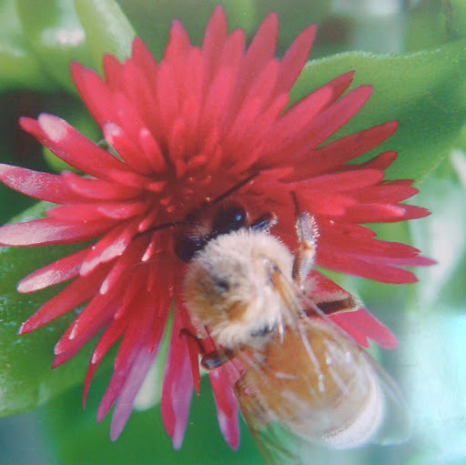 HR Vishw/Jalalpur, India/