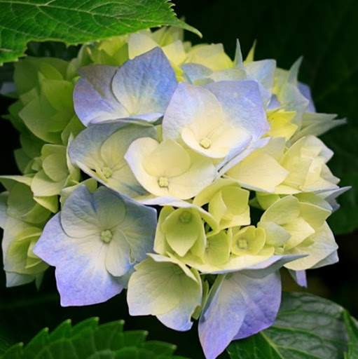 Gayathri Muthalagan/Chennai, India/Hr Executive