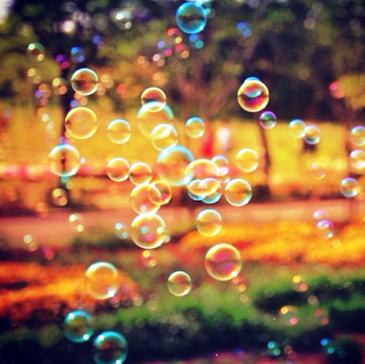 Shwet03/Delhi, India/