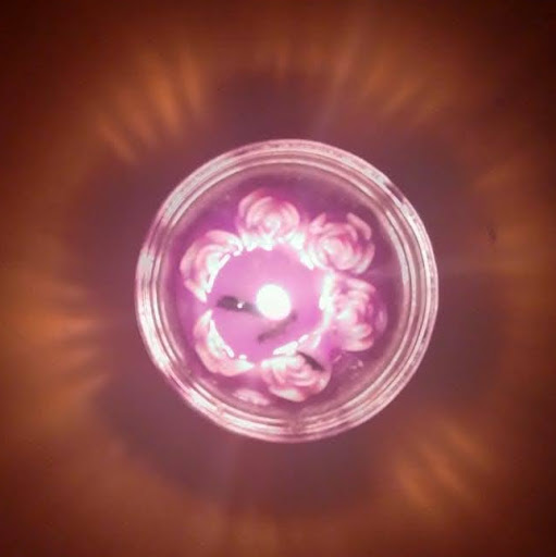 Alisha-alex-raj/Chennai, India/