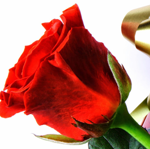 yash8686's Profile Picture