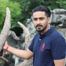 keerthi keerthi's Profile Picture