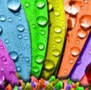 Naveen EPF's Profile Picture