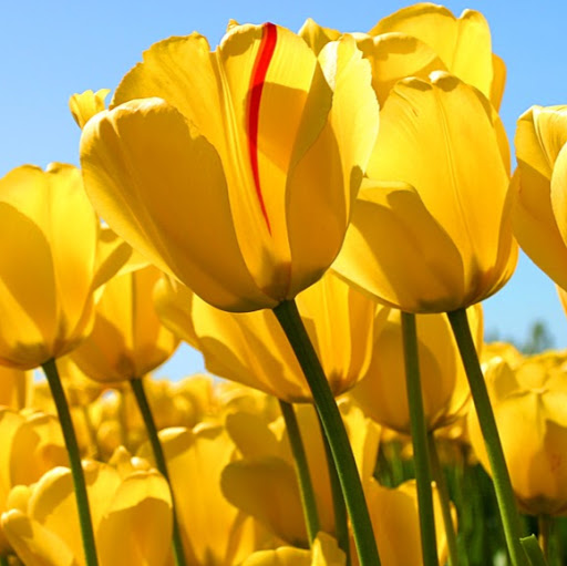 Aarthi Ravi's Profile Picture