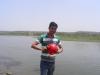 rakesh.tanwar82@yahoo.com's Profile Picture
