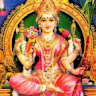 narayanan231165@gmail.com's Profile Picture