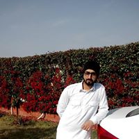 Sunil@81's Profile Picture