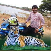 chinna-reddy's Profile Picture