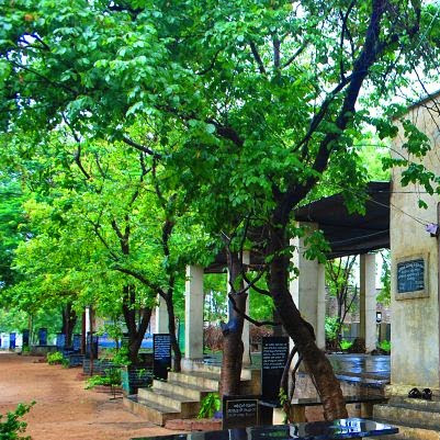 ranga.rs's Profile Picture