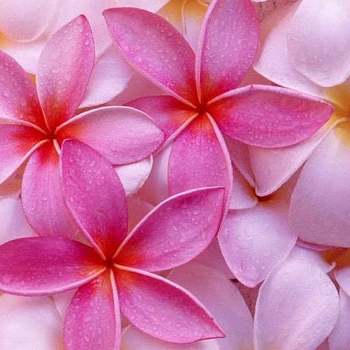 janmay's Profile Picture